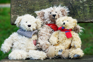 Teddy bears cuddly friends brought to life