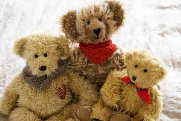 Teddy bears cuddly friends brought to life