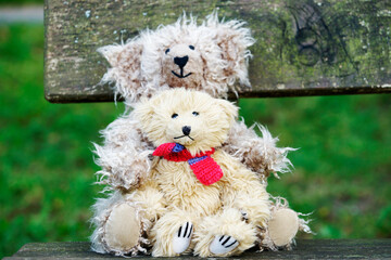 Teddy bears cuddly friends brought to life