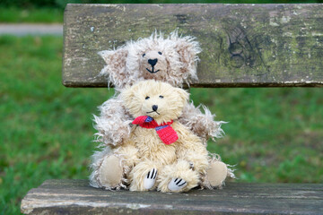 Teddy bears cuddly friends brought to life