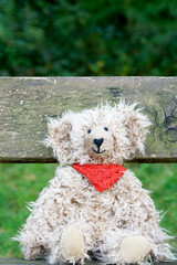 Teddy bears cuddly friends brought to life
