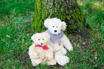 Teddy bears cuddly friends brought to life