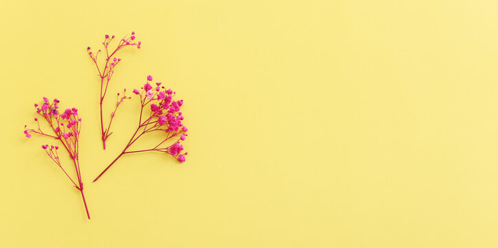 Top view image of pink and purple flowers composition over pastel yellow background .Flat lay