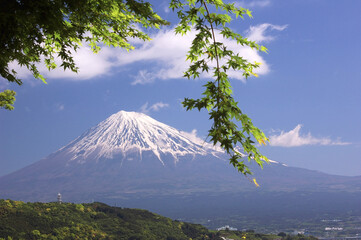 富士山ともみじ