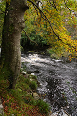 Crana River Buncrana with beautiful cascades and bridges