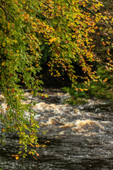 Crana River Buncrana with beautiful cascades and bridges