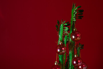 Christmas cactus with decor of Christmas toys balls on a red 