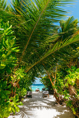 Fototapeta na wymiar Tropical paradise in Maldives