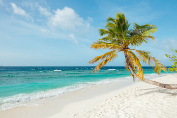 Fototapeta na wymiar Tropical paradise in Maldives