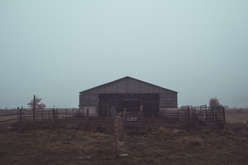 Cow farm building in misty fog weather. Colored agriculture photo