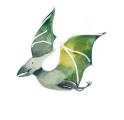 Pterodactyl watercolor Dinosaur isolated on white. Baby Boy dino kids design. © Tatyana