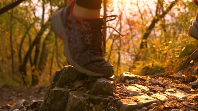 SLOW MOTION, LOW ANGLE, CLOSE UP , LENS FLARE: Female hiker steps on a rock while exploring the hiking trails on a sunny fall evening. Unrecognizable woman in black leggings treks up a colorful hill.