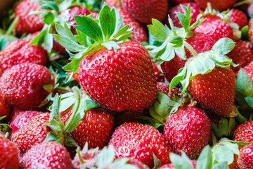 Strawberry healthy berry fruit ripe. harvest nature