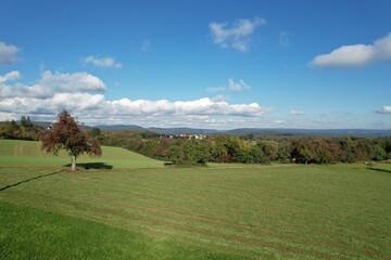 Sunny Day Panorama 1 (Odenwald)