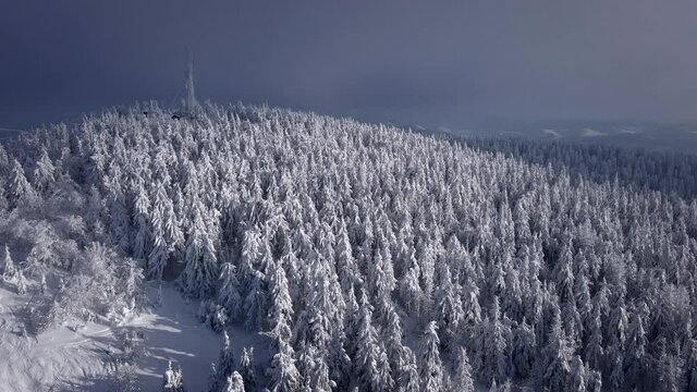 aerial view of snowed forest in mountains on sunset