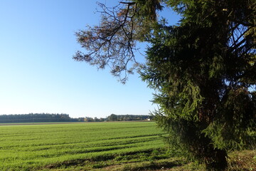Schöne Landschaft in Donau-Ries, Bayern