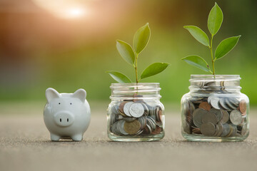 Saving and pig piggy bank a coin glass on the floor nature background