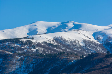 Obraz premium Beautiful winter scene with forest mountains