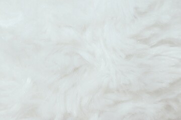 close up of white fluffy feathers