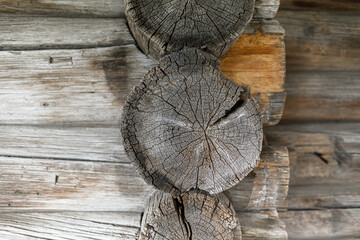 The texture of the tree. A fragment of an old log house. The end of the log in close-up