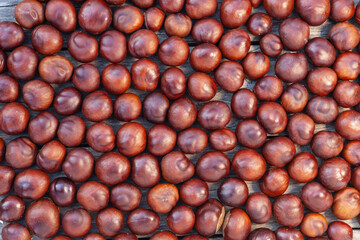 many chestnut are laid out close to each other. background