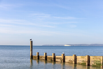 A scenic view of a wooden groyne with a seagull standing at the end of it with a majestic blue sea and white hilly cliffs in the background under a majestic blue sky and some white clouds