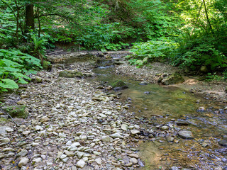 Mountain rivers, sources of ecologically clean resources of water reserves on the planet, sunny autumn morning.