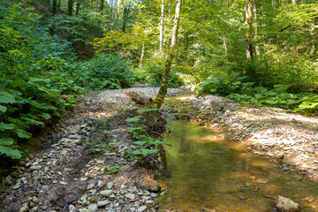 Fototapeta premium Mountain rivers, sources of ecologically clean resources of water reserves on the planet, sunny autumn morning.