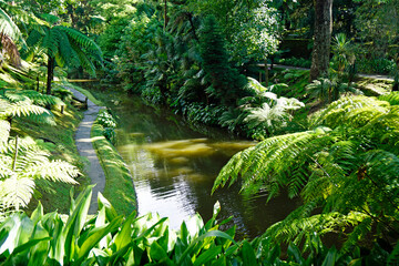 green exotic landscape on the azores