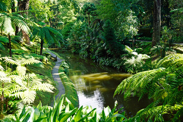 green exotic landscape on the azores