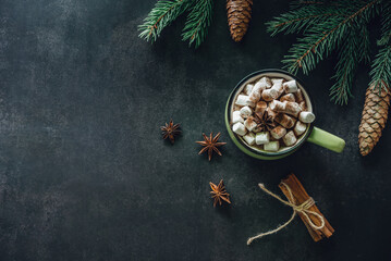 Christmas hot chocolate cup with marshmallow, cinnamon, and star anise on dark chalkboard background