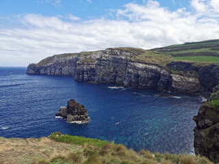 Fototapeta premium natural green scenery on the azores islands