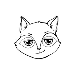 Raccoon Face. Raccoon Head Isolated On White Background