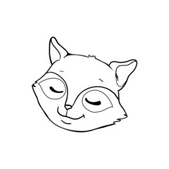 Raccoon Face. Raccoon Head Isolated On White Background