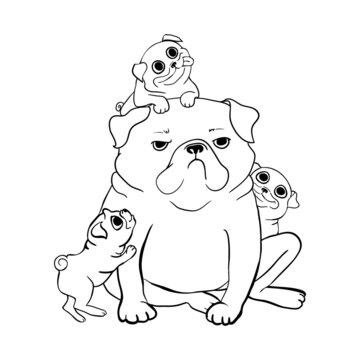 Cute pug. Portrait of dog in sketch style. Hand drawn vector illustration.