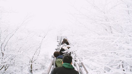 People walking in a line in the snowy forest of Jeju Island in winter.

