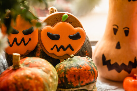 Two fresh Halloween gingerbread cookies among cute pumpkins on a blurry background.