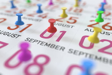 September 1 date and push pin on a calendar, 3D rendering