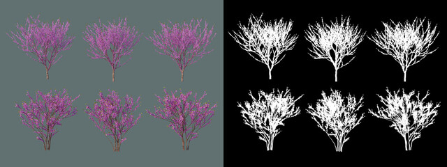 Different types of trees in different colors
