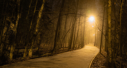 Night alley in the autumn forest illuminated by lanterns.