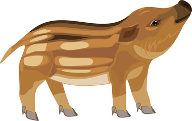 European wild boar (Sus scrofa) piglet isolated on white background