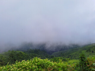 green mountain valley filled with heavy cloud at morning
