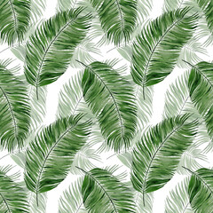 Watercolor seamless pattern with jungle palm leaves. Hand painted exotic leaves and branches on a white background. Hand drawn illustration. Floral tropical illustration for design, print, fabric