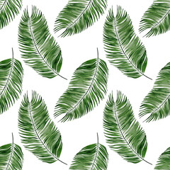 Watercolor seamless pattern with jungle palm leaves. Hand painted exotic leaves and branches on a white background. Hand drawn illustration. Floral tropical illustration for design, print, fabric