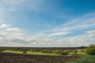Obraz premium field and beautiful landscape on a summer day