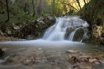Fototapeta premium Waldwasserfall