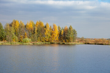trees with colorful leaves on the shore of the reservoir. lake and autumn trees.