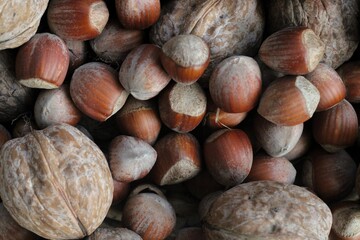 hazelnuts on a wooden background