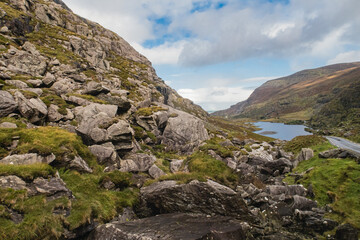 Fototapeta premium View over valley in Killarney National Park, Republic of Ireland