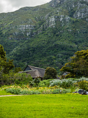 Portrait shot of thatch roof house in garden during spring in Cape Town